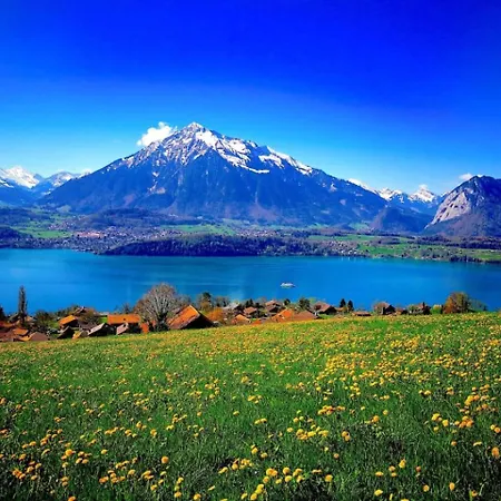 Concierge, Thun Alps Scenic Views By Swisshut سيغريسويل